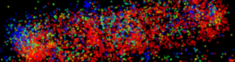 Z-axis of E. coli imaged on Vutara biplane 3D super-resolution microscope (Waka and Zal)