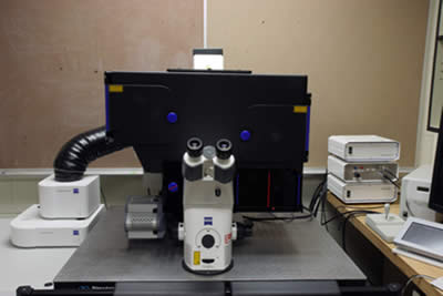 Fluorescence - Imaging Facilities - Advanced Microscopy - The University of  Utah